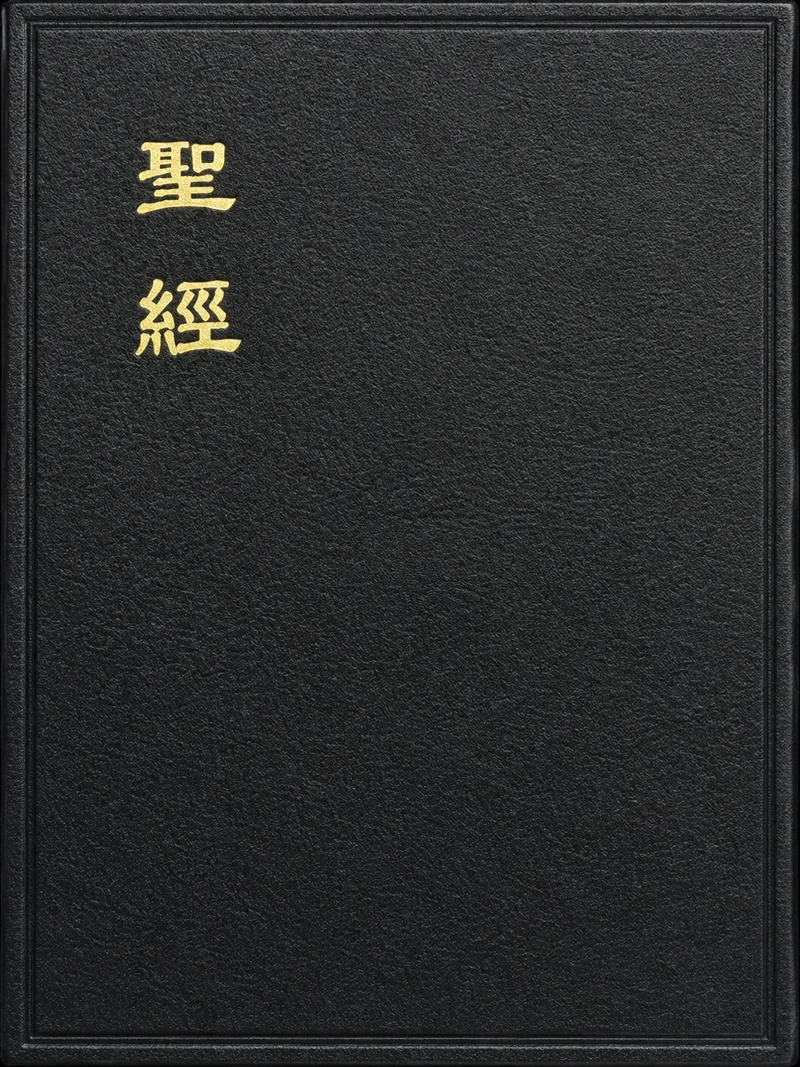 The Holy Bible